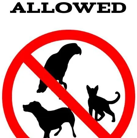 Appartamento - Roza Wiatrow